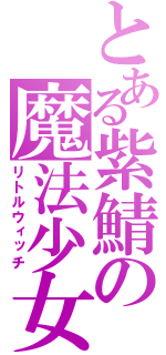 とある紫鯖の魔法少女（リトルウィッチ）