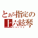 とある指定の上六絃琴（ウルトラＺ）