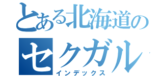 とある北海道のセクガル（インデックス）