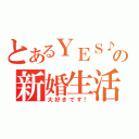 とあるＹＥＳ♪の新婚生活（大好きです！）