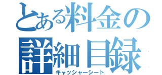 とある料金の詳細目録（キャッシャーシート）