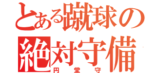 とある蹴球の絶対守備者（円堂守）