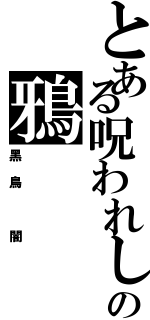 とある呪われしの鴉（黑鳥 闇）