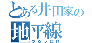 とある井田家の地平線（つるっぱげ）