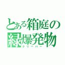 とある箱庭の緑爆発物（クリーパー）