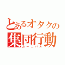 とあるオタクの集団行動（カーニバル）