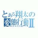 とある翔太の変態行動Ⅱ（ガチホモ行動）