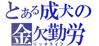 とある成犬の金欠勤労（リッチライフ）