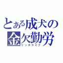 とある成犬の金欠勤労（リッチライフ）