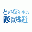 とある留年生の実習逃避（エスケープ）