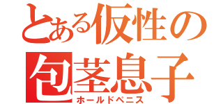 とある仮性の包茎息子（ホールドペニス）