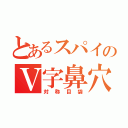 とあるスパイのＶ字鼻穴（対称目袋）