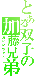 とある双子の加藤兄弟（おにいちゃん）