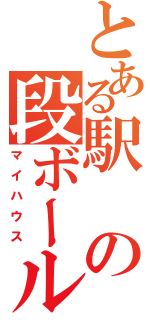 とある駅の段ボール（マイハウス）