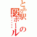 とある駅の段ボール（マイハウス）