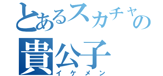 とあるスカチャンの貴公子（イケメン）