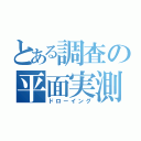 とある調査の平面実測図（ドローイング）