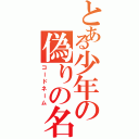 とある少年の偽りの名Ⅱ（コードネーム）