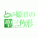 とある姫君の聖三角形（トライフォース）