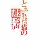 とある発情猫の魅惑声（エロリボイス）