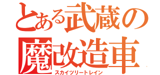 とある武蔵の魔改造車（スカイツリートレイン）