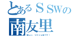 とあるＳＳＷの南友里（珍しい、リケジョ系です！）