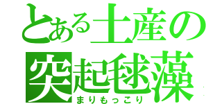 とある土産の突起毬藻（まりもっこり）