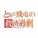 とある飛竜の救済過剰（マルチスケイル）