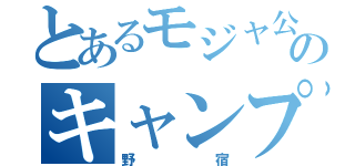 とあるモジャ公のキャンプ（野宿）