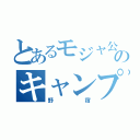 とあるモジャ公のキャンプ（野宿）