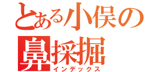 とある小俣の鼻採掘（インデックス）