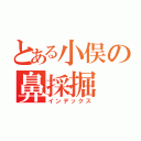 とある小俣の鼻採掘（インデックス）