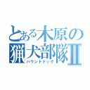 とある木原の猟犬部隊Ⅱ（ハウンドドッグ）