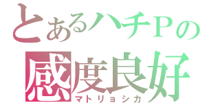 とあるハチＰの感度良好（マトリョシカ）