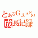 とあるＧＲＡＮＲＯＤＥＯの成長記録（）