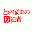 とある家畜の反逆者（つじ）