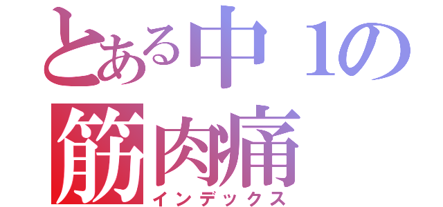 とある中１の筋肉痛（インデックス）