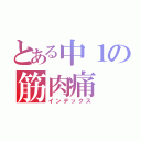 とある中１の筋肉痛（インデックス）