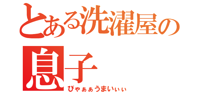 とある洗濯屋の息子（びゃぁぁうまいぃぃ）