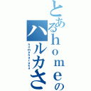 とあるｈｏｍｅのハルカさん（ｈｏｍｅｈａｒｕｋａ）