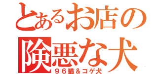 とあるお店の険悪な犬猫（９６猫＆コゲ犬）