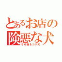 とあるお店の険悪な犬猫（９６猫＆コゲ犬）