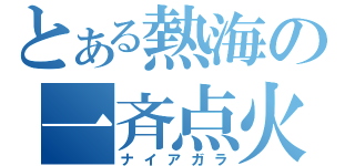 とある熱海の一斉点火（ナイアガラ）