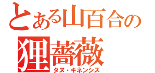 とある山百合の狸薔薇（タヌ・キネンシス）