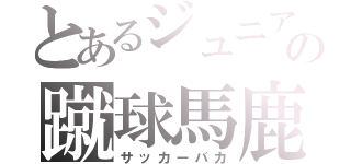 とあるジュニアの蹴球馬鹿（サッカーバカ）