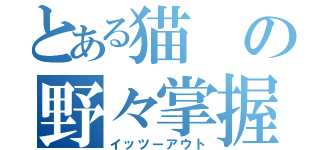 とある猫の野々掌握（イッツーアウト）