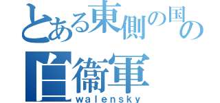 とある東側の国の白衞軍（ｗａｌｅｎｓｋｙ）