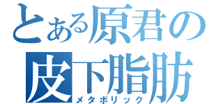 とある原君の皮下脂肪（メタボリック）