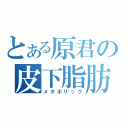 とある原君の皮下脂肪（メタボリック）