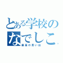 とある学校のなでしこ祭（最高の思い出）